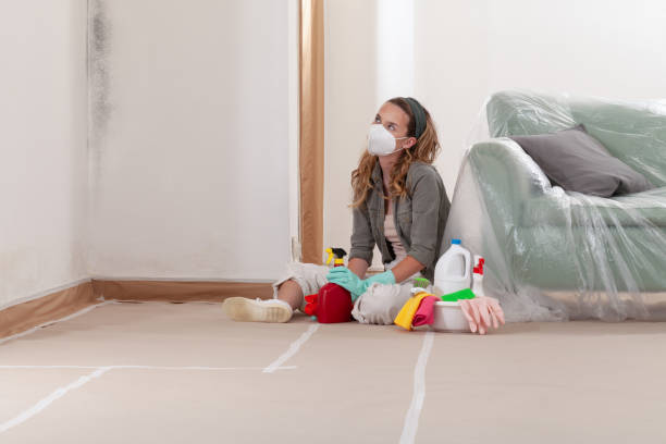 Trusted Attic Mold Removal service in Lakeside, VA - WQB Mold Removal